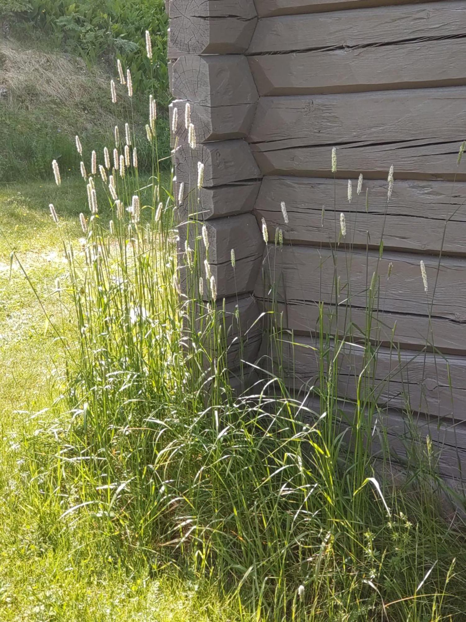 Fyrkloeverns Stugby Rättvik Exterior foto